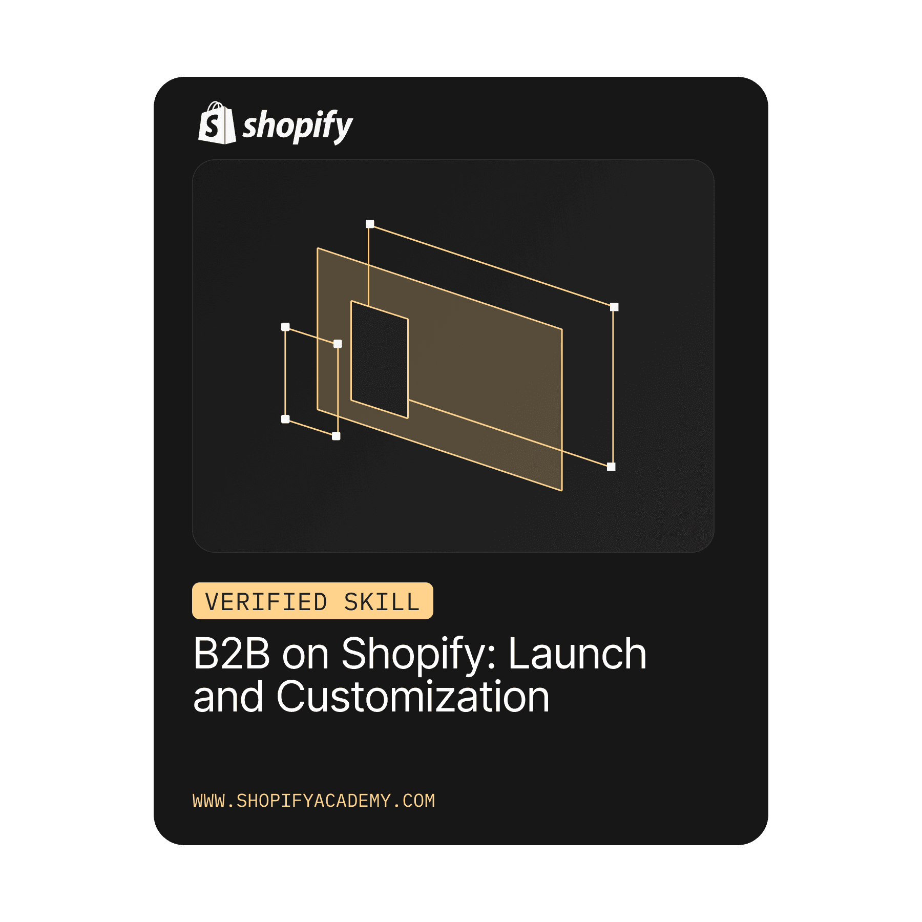 B2B on Shopify: Launch and Customization